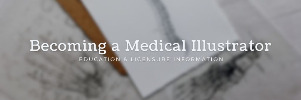 Becoming a Medical Illustrator - Education & Licensure Information.