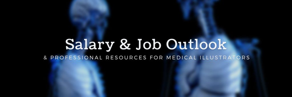 Salary & Job Outlook & Professional Resources for Medical Illustrators