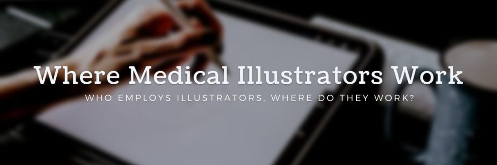 Where Medical Illustrators Work - Who Employs Illustrators & Where do they work?